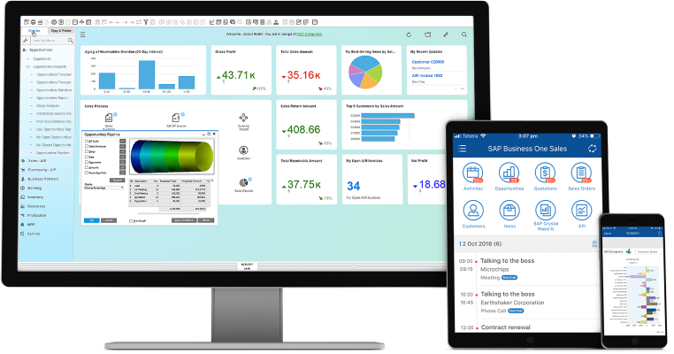 SAP Business One 1