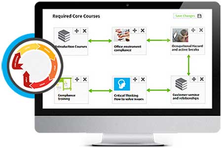 Paradiso LMS 6