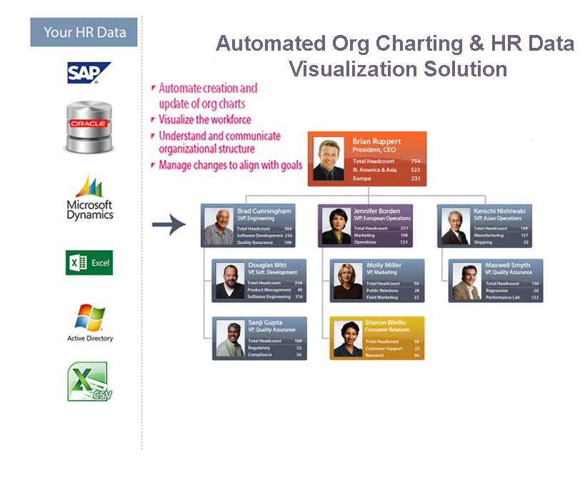 Automated Org Chart Generator